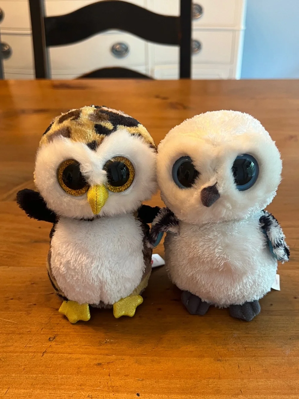 Ty Beanie Boo Owl Duo Set
